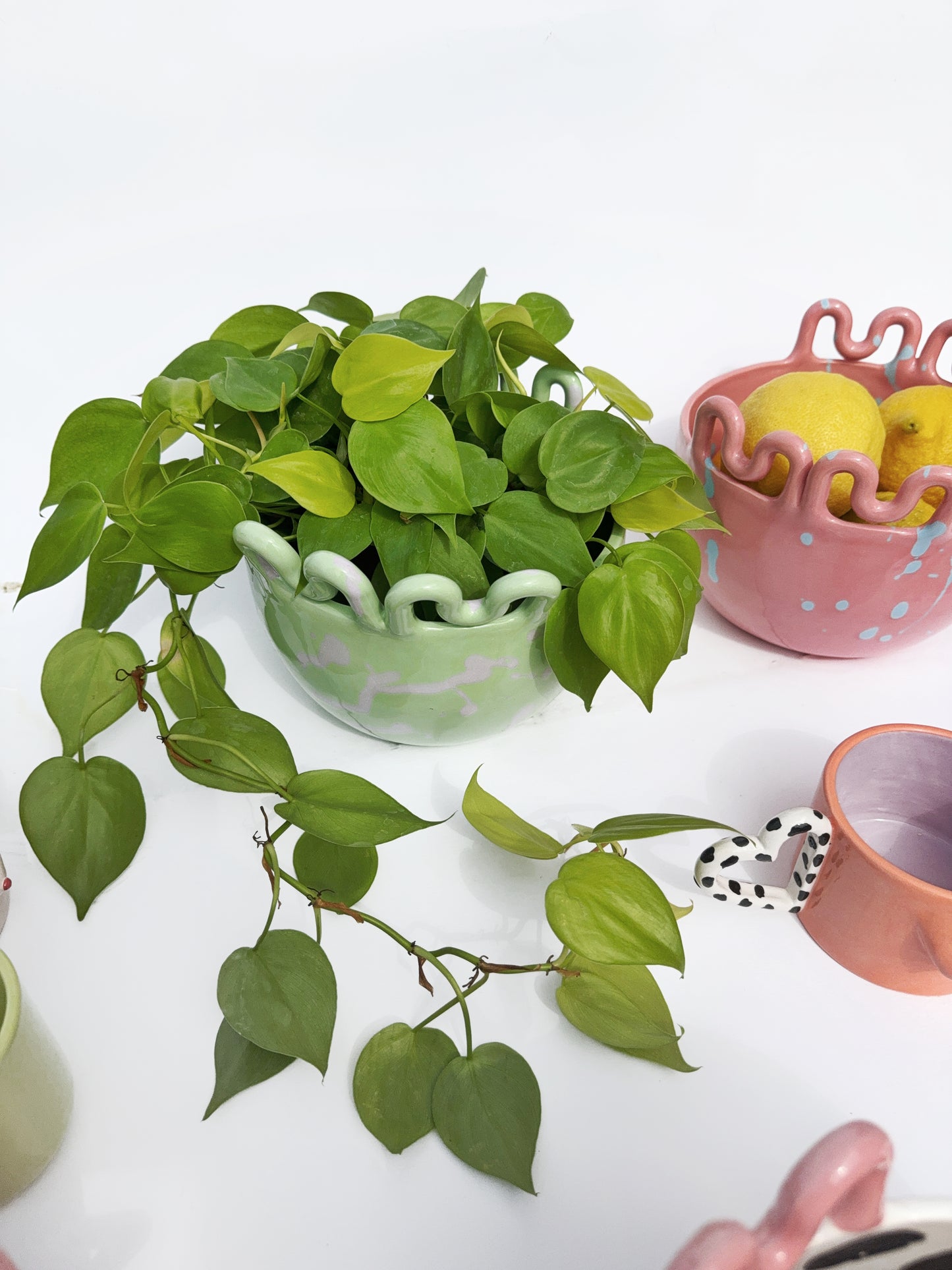 Splash Mint Bowl x Planter