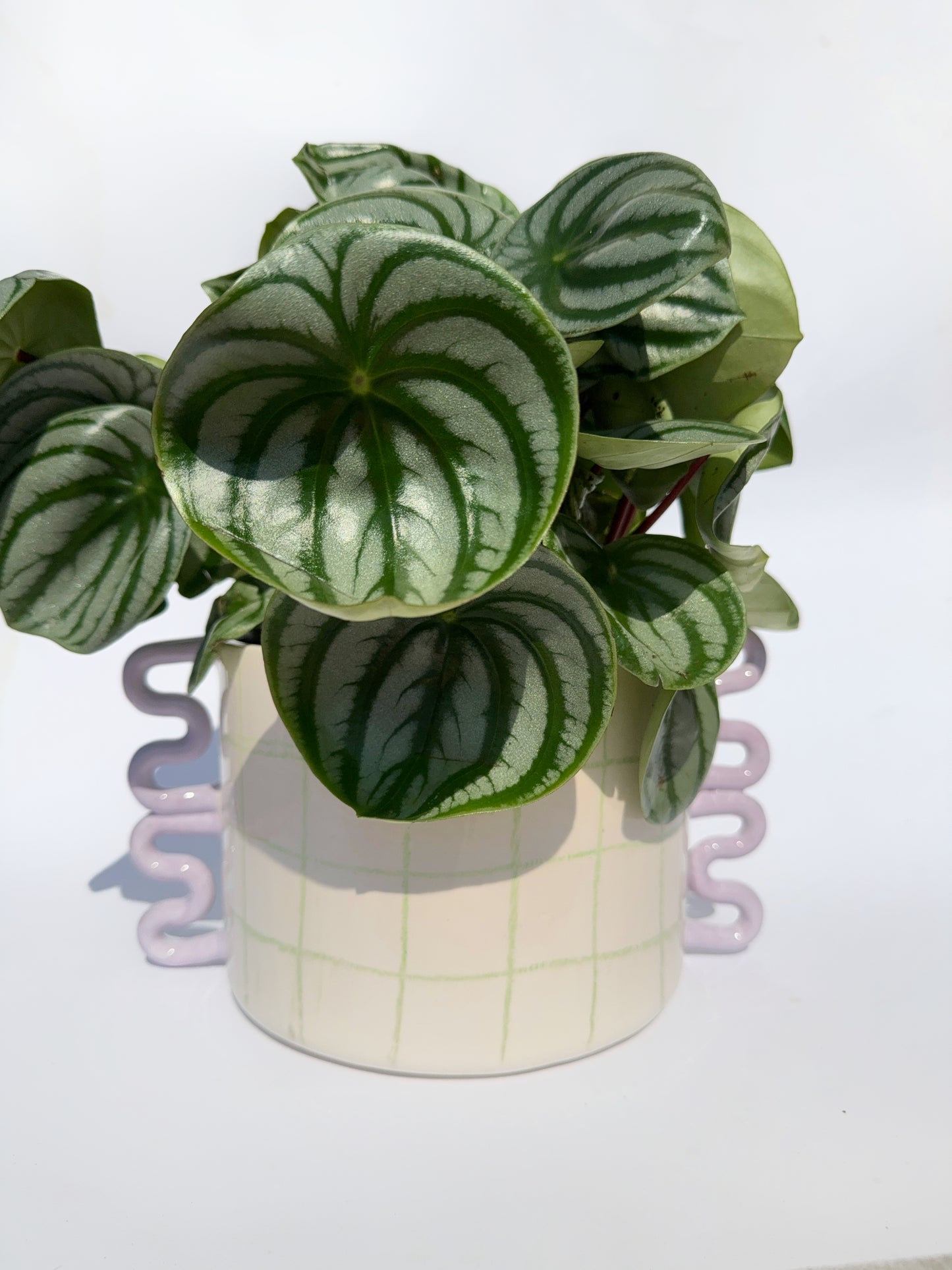 Checkered Planter x Bowl