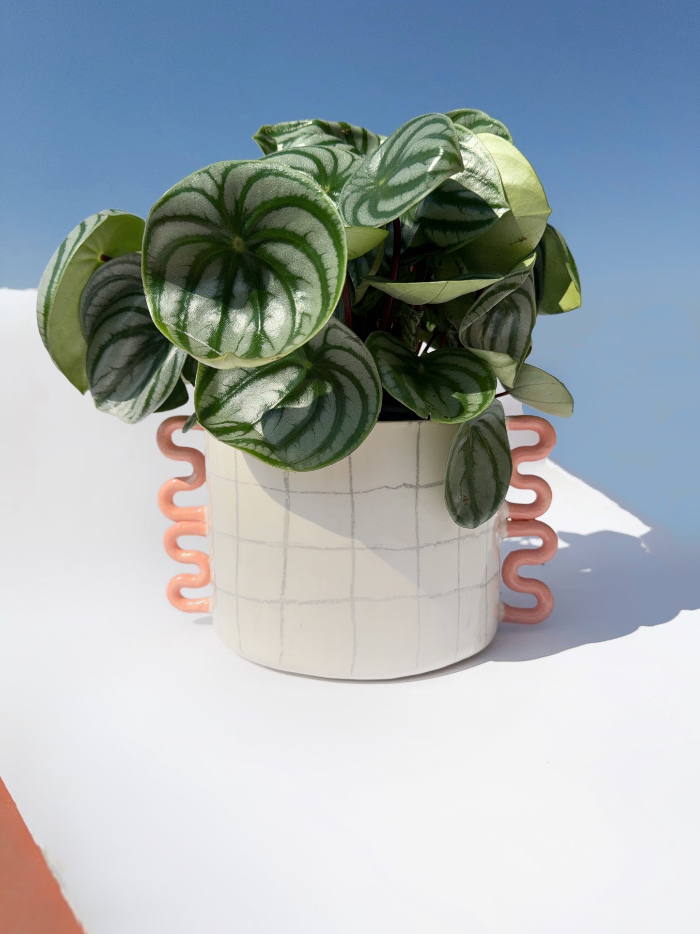 Checkered Planter x Bowl