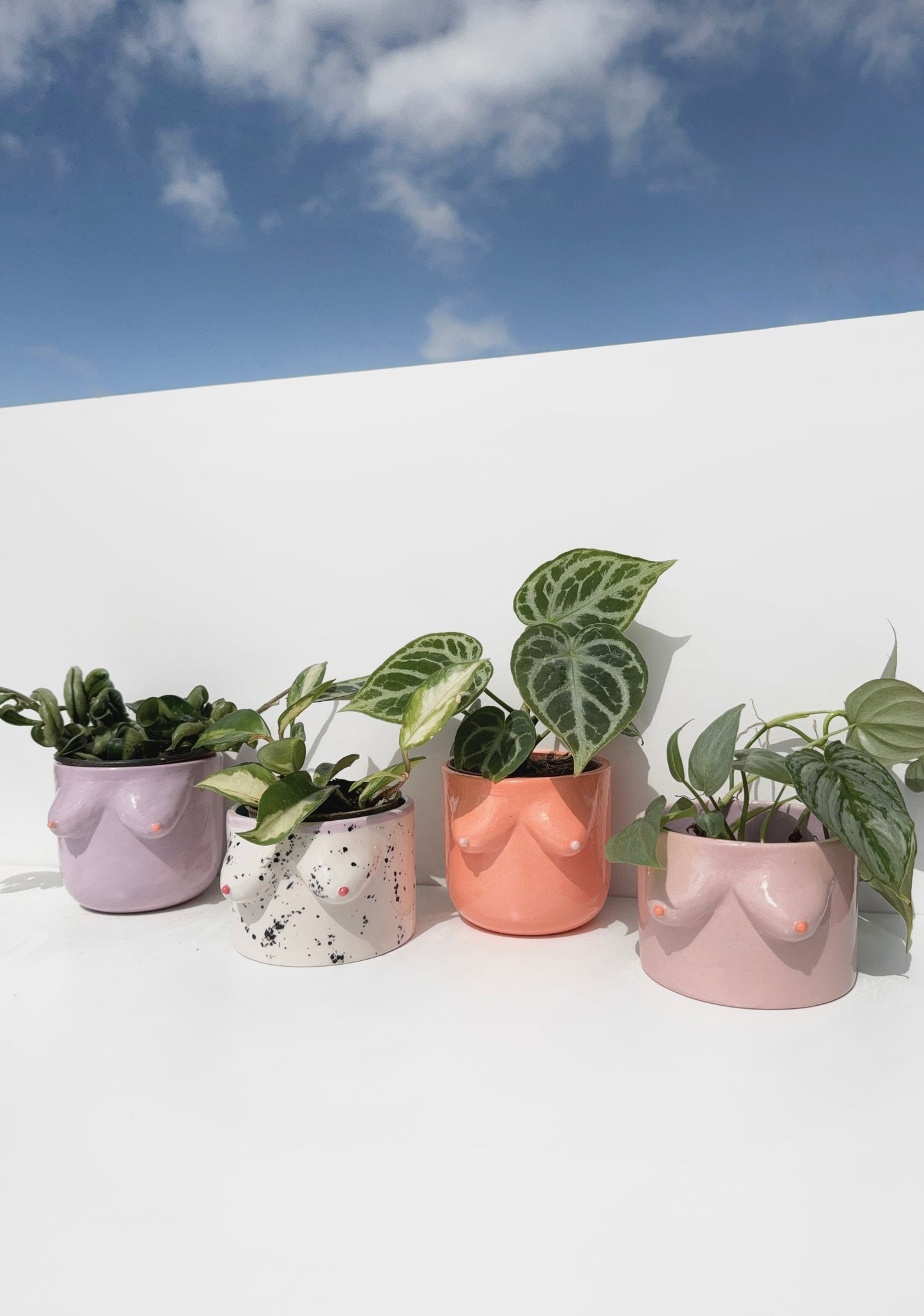 Mini BOOB Planters