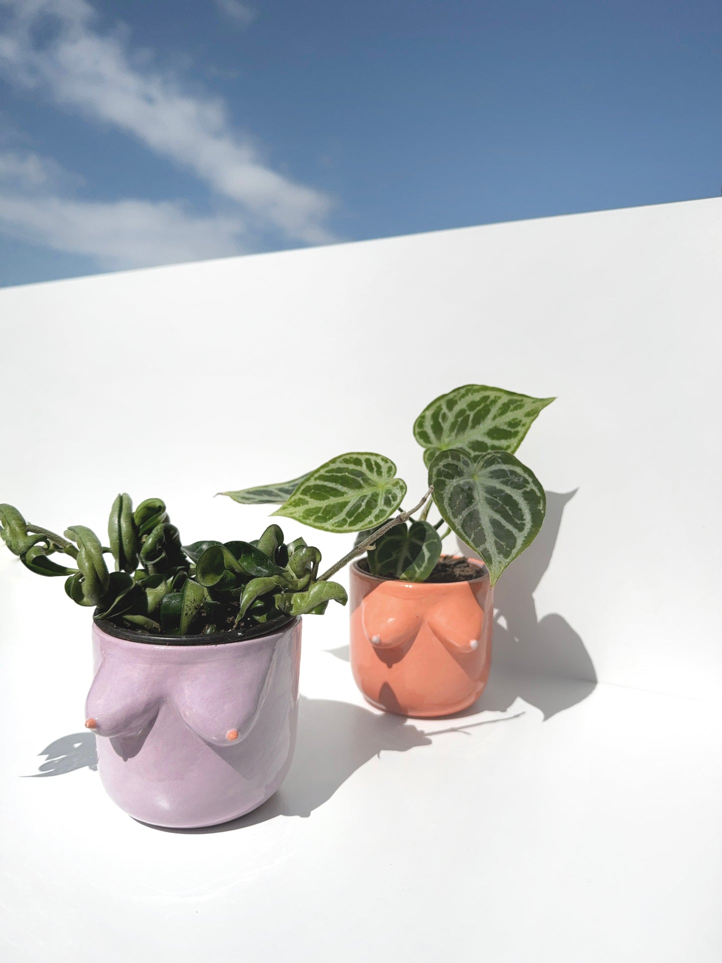 Mini BOOB Planters