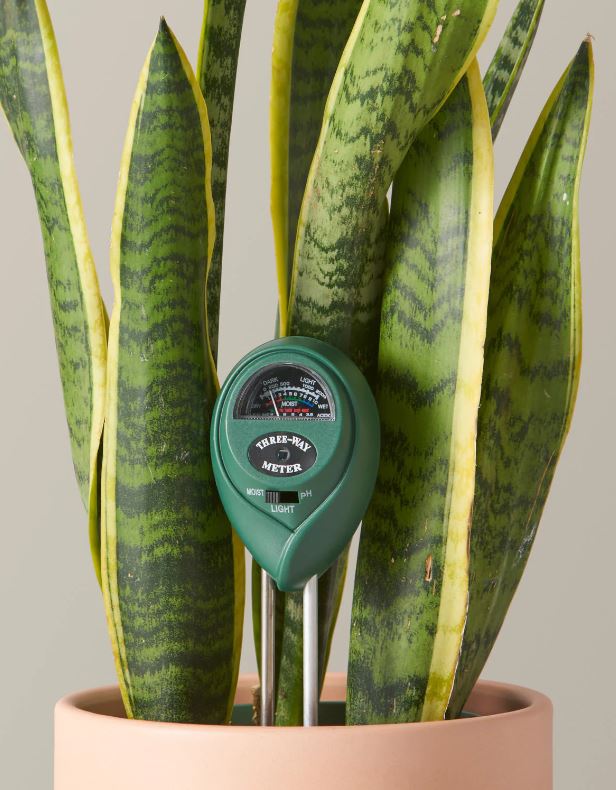 3-in-1 Soil Moisture Meter